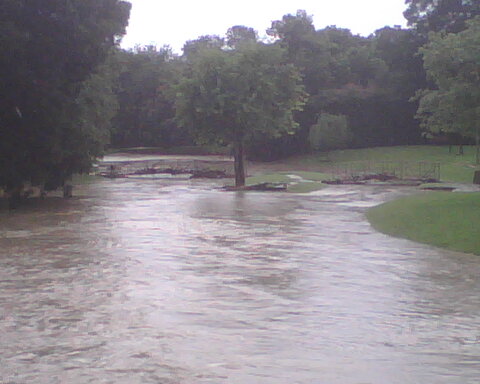park submerged
